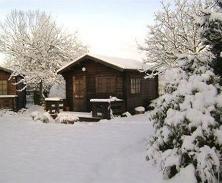 Robeanne House Holiday Accommodation Shiptonthorpe Exteriér fotografie